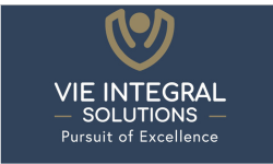 VIE Integral Solutions
